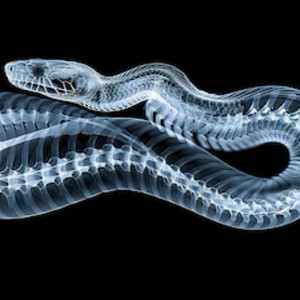 Lil Jodyy - Slime'em Out