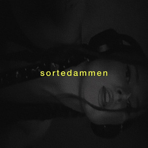 Sortedammen by Asta Brix