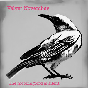 Our time has come by Velvet November
