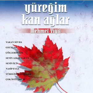 Mehmet Yiğit - Geceler
