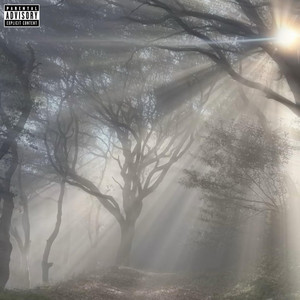 Won't Miss U by xando