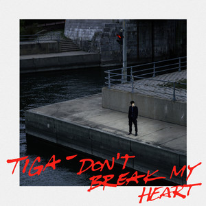 Don't Break My Heart - Shiba San Remix by Tiga, Shiba San