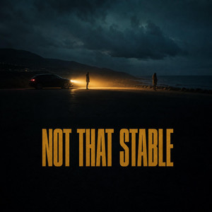 Not That Stable by Elvara