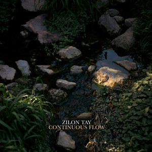 Continuous Flow by Zilon Tay