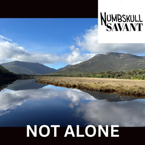 Not Alone by Numbskull Savant