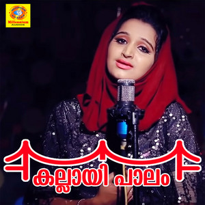 Riyana Rameez - Kallayi Palam (Reprised Version)