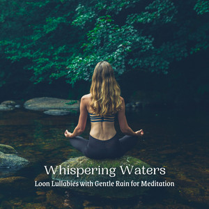 Whispering Waters: Loon Lullabies with Gentle Rain for Meditation album