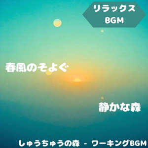 Focus Forest - Working BGM - "Relaxing BGM" the Sound of the Forest Colors