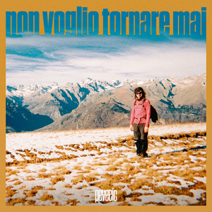 Non Voglio Tornare Mai by Pevecic