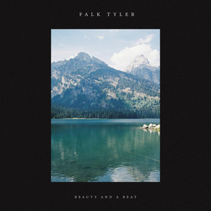 Beauty And A Beat by Falk Tyler