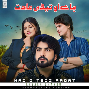 Arslan Chandu - Hai O Tedi Aadat (Slow+Reverb Version)