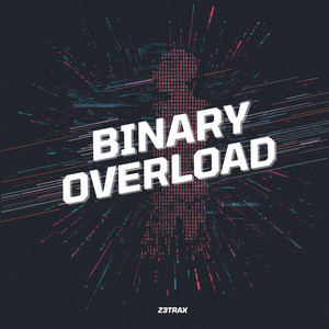 Binary Overload by z3trax