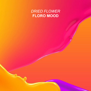 La Vie by Dried Flower
