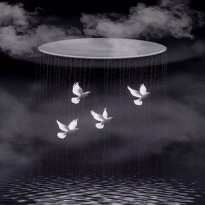 Flying Free by James Aeron
