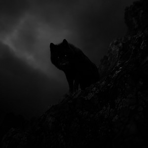 insist (super slowed) by krotov