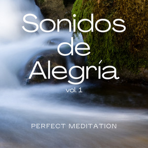 1 Sonidos de Alegría Vol. 1 album