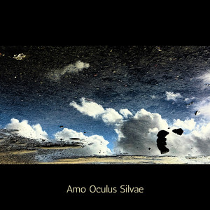 Amo Oculus Silvae by Peter Hobbs