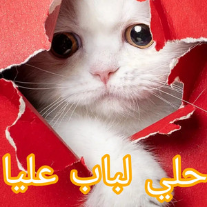 حلي لباب مانيش عدوك by Cheb Snouci