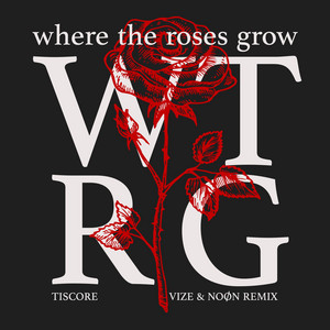 Where The Roses Grow - VIZE & NOØN Remix