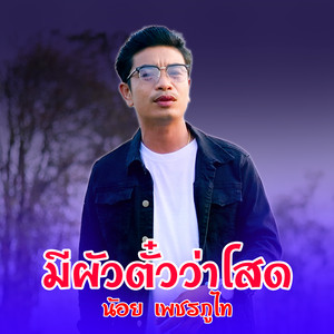 น้อย เพชรภูไท - มีผัวตั๋วว่าโสด