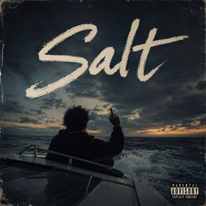 Salt by Clever