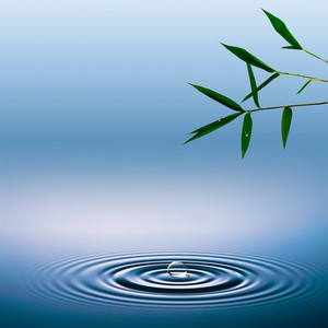 Spiritual Moment - Zen Music for Stress Relief