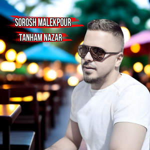 Sorosh Malekpour - Tanham Nazar
