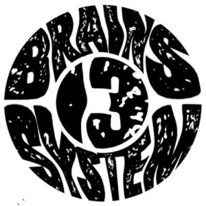 SYSTEMBRAINS13 by MEDIA14