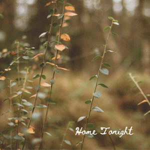 Home Tonight by Roman Lakes