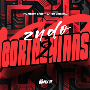 DJ TZ8 ORIGINAL & MC MENOR SAND - Zn do Corinthians 2