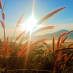 Uwe Sauer Lobpreis - Frei wie der Wind