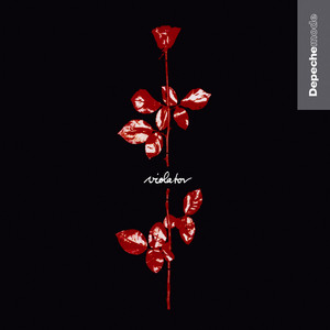 Violator cover