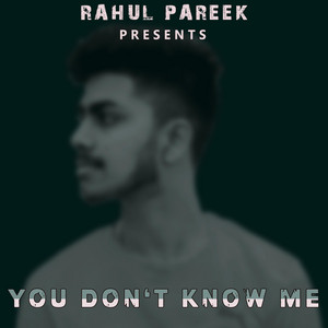 Rahul Pareek - Neendein Udayegi