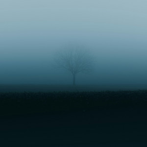 sacred by stream_error