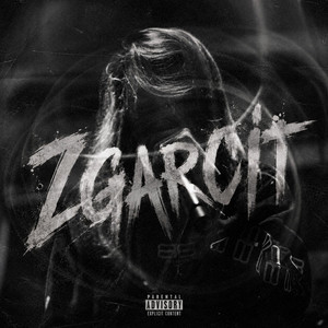 ZGARCIT by LFS, IDCASH