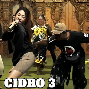 CiDRO 3