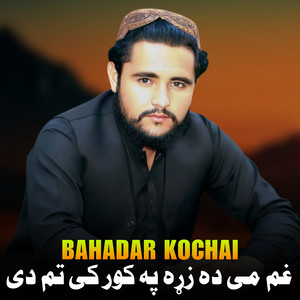 Bahadar Kochai - لږ می پورته که له ځمکی څه مړ نه یم
