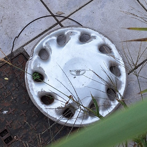 Seisha - Boards of France