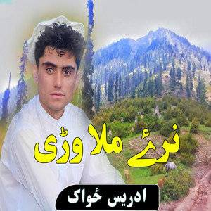 ادریس ځواک - نرۓ ملا وڑی