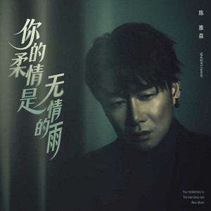 你的柔情是无情的雨