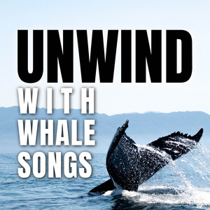 Unwind with Whale Songs album
