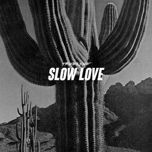 Slow Love by Alvin trip