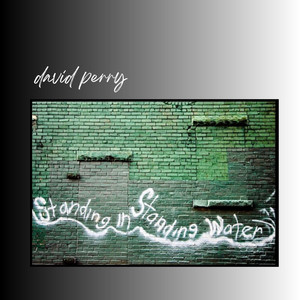 When The Music Comes To Your House by David Perry, Heather Norton
