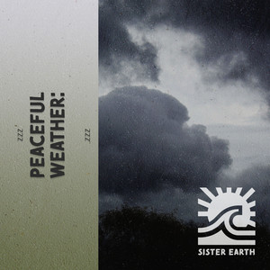 zZz Peaceful Weather: Rain Showers Over the Woods zZz album