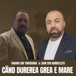 Vadari de la Timisoara - Cand durerea grea e mare