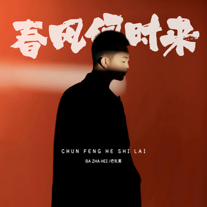 春风何时来 - Dj德朋版 by 巴扎黑