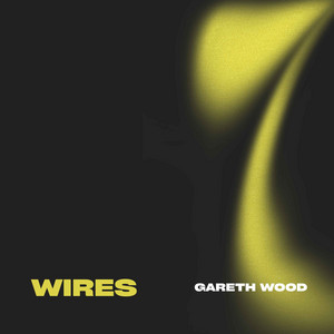 Then You Came On by Gareth Wood
