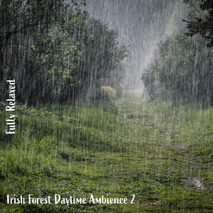 Steve Brassel - Irish Forest Daytime Ambience, Pt. 20