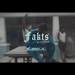 Fakts by Kickkone