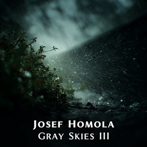 Remember When We Met & Gentle Rain by Josef Homola
